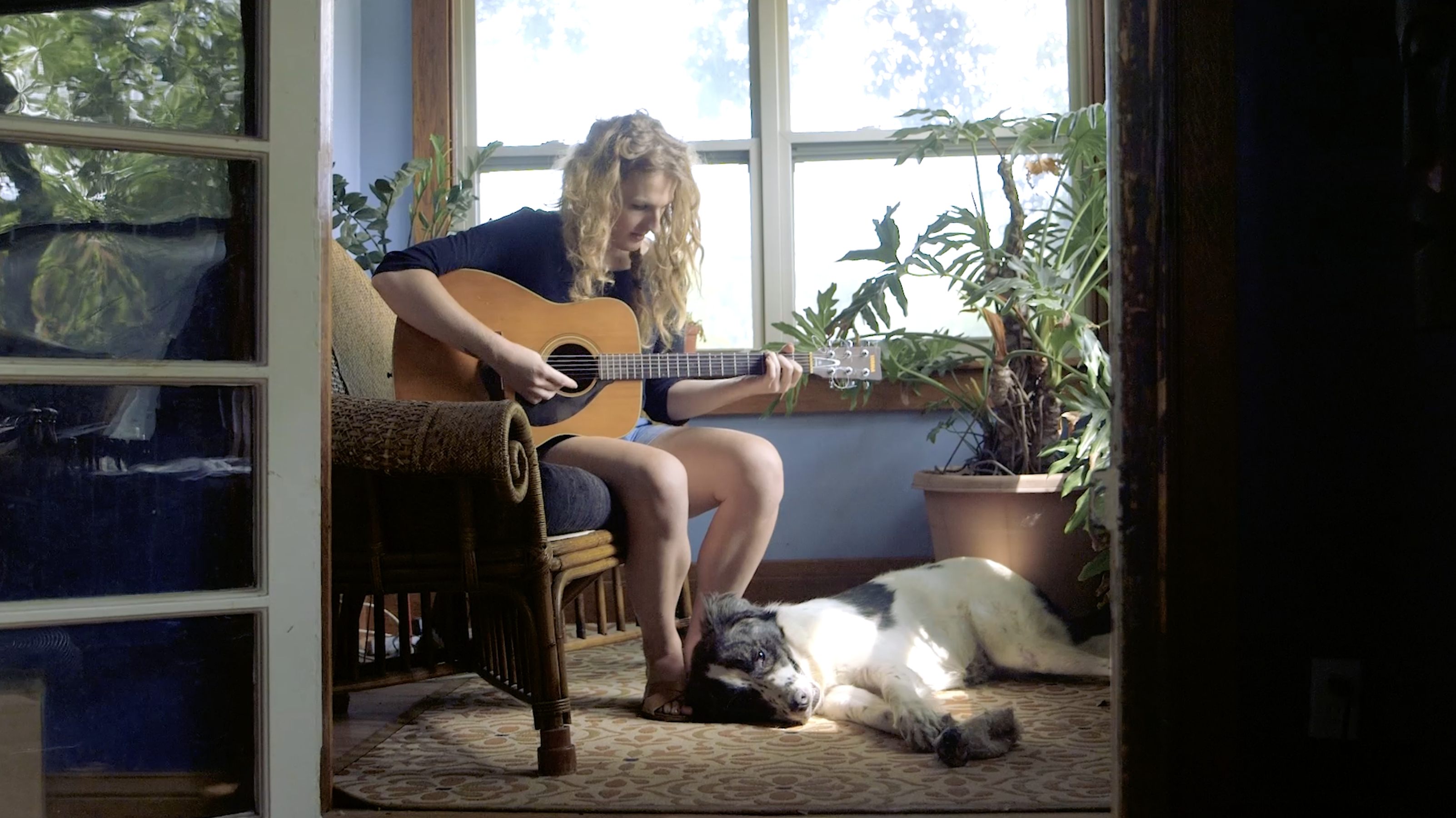 Trans+ Healthcare — Planned Parenthood