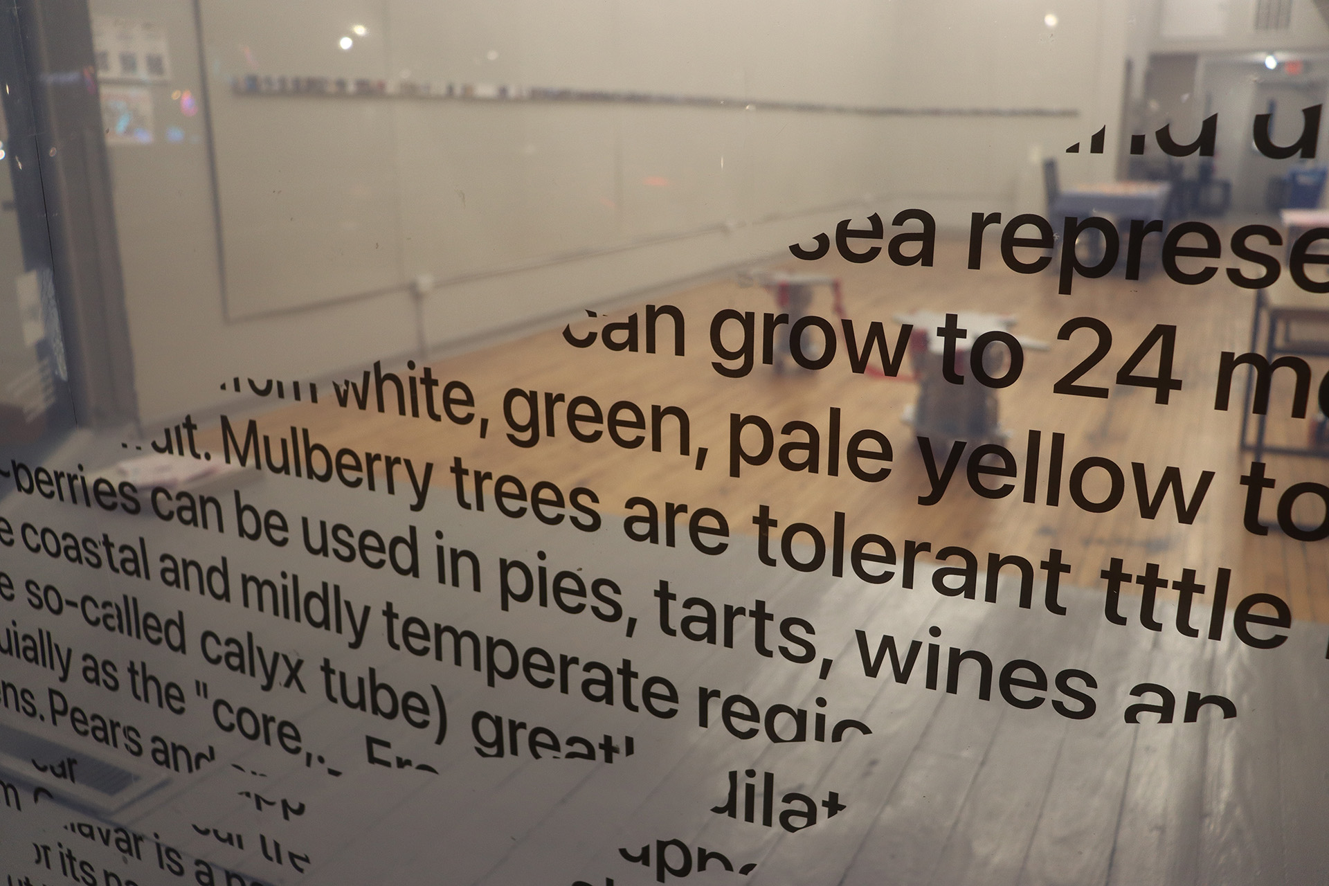 Scraps Around the Studio