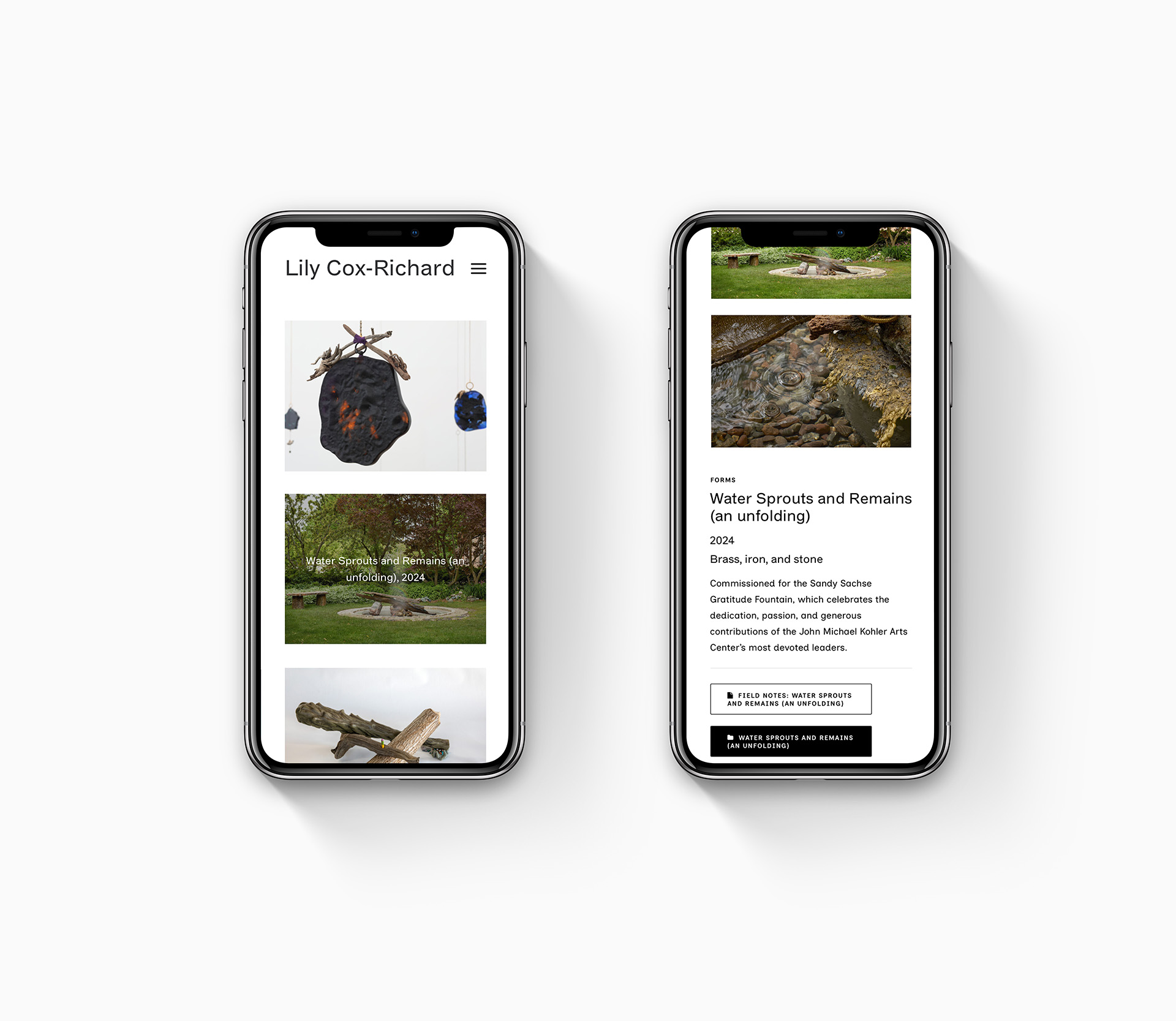 Lily Cox-Richard Website